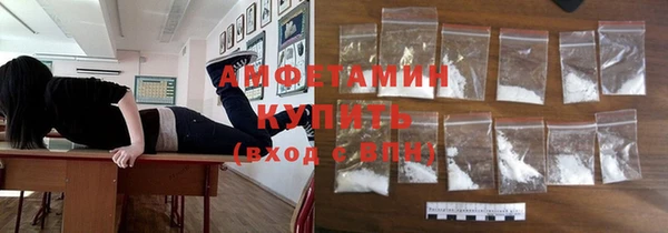 прущие грибы Ладушкин