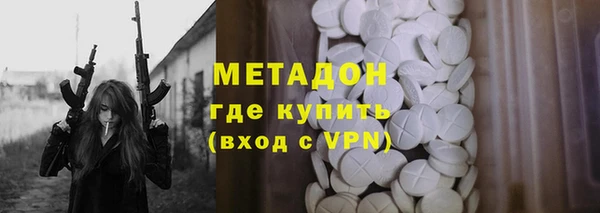 прущие грибы Ладушкин