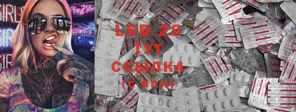 прущие грибы Ладушкин