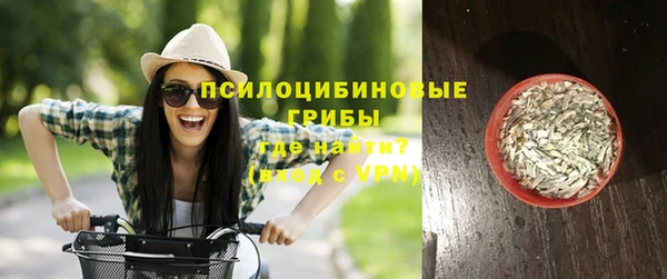 прущие грибы Ладушкин